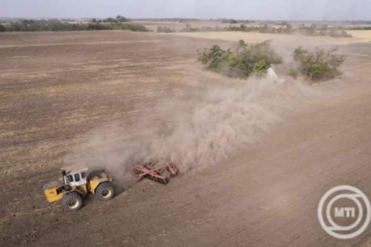 Agrárkamara: a fiatal gazdáknak is elérhetővé teszik az ingyenes pályázatírási szolgáltatást