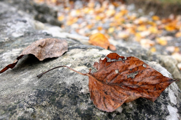 Változékony lesz az idő a héten is