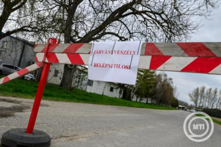 AM: komplex támogatási program segíti a ragadós száj- és körömfájás sújtotta állattartó telepeket